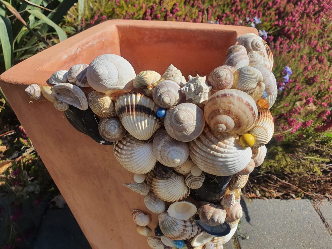 TerracottaTopf mit Muscheln Natürlich selbstgemacht