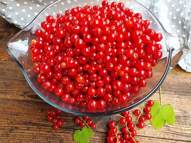 Johannisbeer-Marmelade selber kochen - Natürlich selbstgemacht